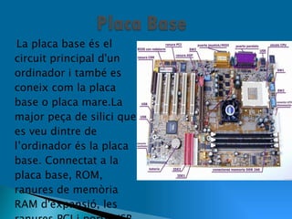 La placa base és el circuit principal d'un ordinador i també es coneix com la placa base o placa mare.La major peça de silici que es veu dintre de l’ordinador és la placa base. Connectat a la placa base, ROM, ranures de memòria RAM d'expansió, les ranures PCI i ports USB. 