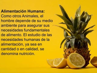 Alimentación Humana:
Como otros Animales, el
hombre depende de su medio
ambiente para asegurar sus
necesidades fundamentales
de alimento. El estudio de las
necesidades humanas de la
alimentación, ya sea en
cantidad o en calidad, se
denomina nutrición.
 