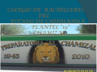 COLEGIO DE BACHILLERES
DEL
ESTADO DE CHIHUAHUA
PLANTEL “19”
CHAMIZAL
 