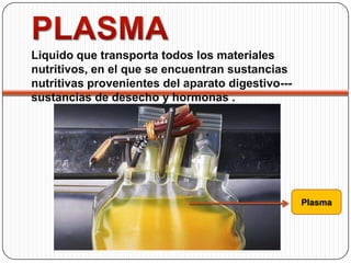 Liquido que transporta todos los materiales
nutritivos, en el que se encuentran sustancias
nutritivas provenientes del aparato digestivo---
sustancias de desecho y hormonas .




                                                   Plasma
 