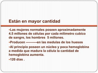 Están en mayor cantidad
Las mujeres normales poseen aproximadamente
4.5 millones de células por cada milímetro cubico
de sangre, los hombres 5 millones.
Producen ----------en las medulas de los huesos
Al principio poseen un núcleo y poca hemoglobina
a medida que madura la célula la cantidad de
hemoglobina aumenta.
120 días .
 