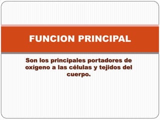 FUNCION PRINCIPAL

Son los principales portadores de
oxígeno a las células y tejidos del
             cuerpo.
 