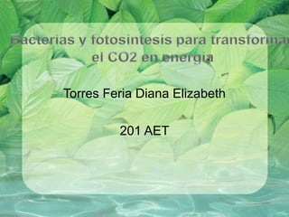 Torres Feria Diana Elizabeth

         201 AET
 