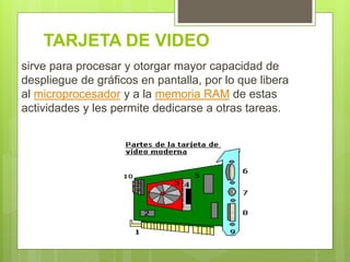 TARJETA DE VIDEO
sirve para procesar y otorgar mayor capacidad de
despliegue de gráficos en pantalla, por lo que libera
al microprocesador y a la memoria RAM de estas
actividades y les permite dedicarse a otras tareas.
 