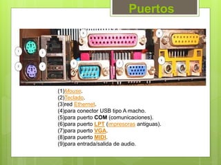 Puertos
(1)Mouse.
(2)Teclado.
(3)red Ethernet.
(4)para conector USB tipo A macho.
(5)para puerto COM (comunicaciones).
(6)para puerto LPT (impresoras antiguas).
(7)para puerto VGA.
(8)para puerto MIDI.
(9)para entrada/salida de audio.
 