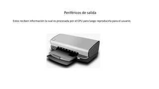Periféricos de salida
Estos reciben información la cual es procesada por el CPU para luego reproducirla para el usuario.
 