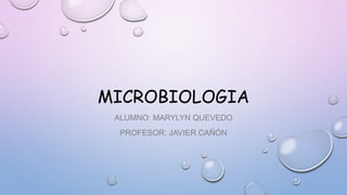 MICROBIOLOGIA
ALUMNO: MARYLYN QUEVEDO
PROFESOR: JAVIER CAÑÓN
 