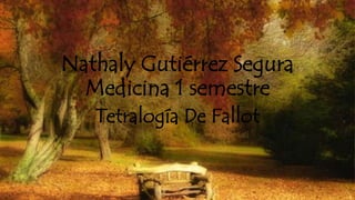 Nathaly Gutiérrez Segura 
Medicina 1 semestre 
Tetralogía De Fallot 
 