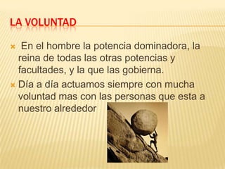LA VOLUNTAD
En el hombre la potencia dominadora, la
reina de todas las otras potencias y
facultades, y la que las gobierna.
 Día a día actuamos siempre con mucha
voluntad mas con las personas que esta a
nuestro alrededor


 