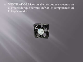  VENTILADORES: es un abanico que se encuentra en 
el procesador que permite enfriar los componentes en 
la tarjeta madre. 
 