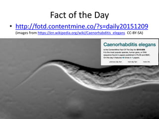 Fact of the Day
• http://fotd.contentmine.co/?s=daily20151209
(images from https://en.wikipedia.org/wiki/Caenorhabditis_elegans CC-BY-SA)
 
