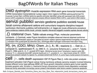 Refs: Erriquez_Daniela_tesi, Fiorentina_Elena_tesi, Gou_Qian_Tesi, mbarontini_tesid, terracciano_maria_tesi
BagOfWords for Italian Theses
 