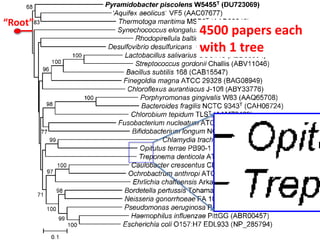 “Root”
4500 papers each
with 1 tree
 