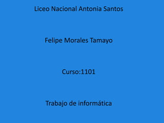 Liceo Nacional Antonia Santos



   Felipe Morales Tamayo



         Curso:1101



   Trabajo de informática
 