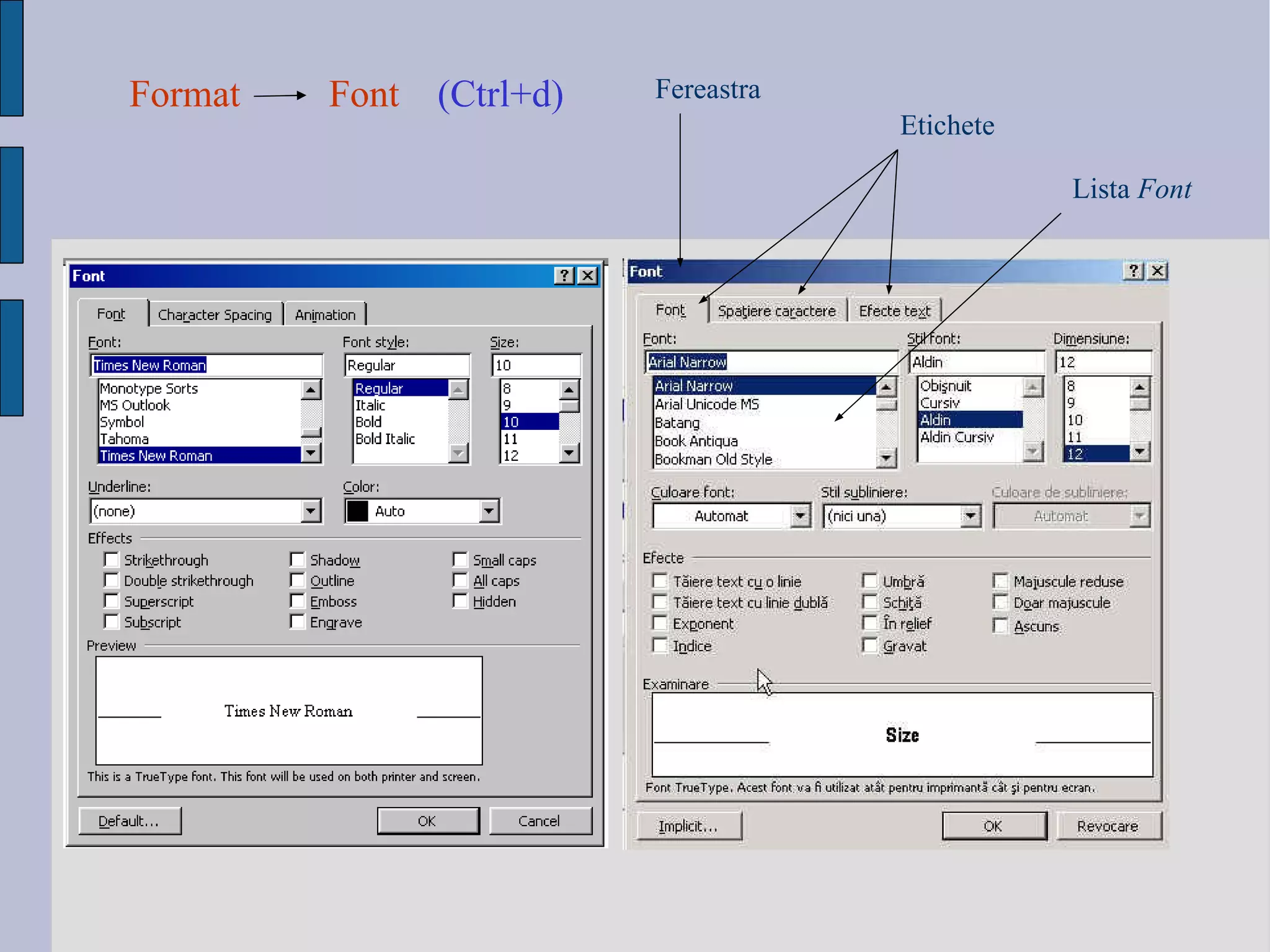 Format Font (Ctrl + d) Fereastra Etichete Lista  Font 