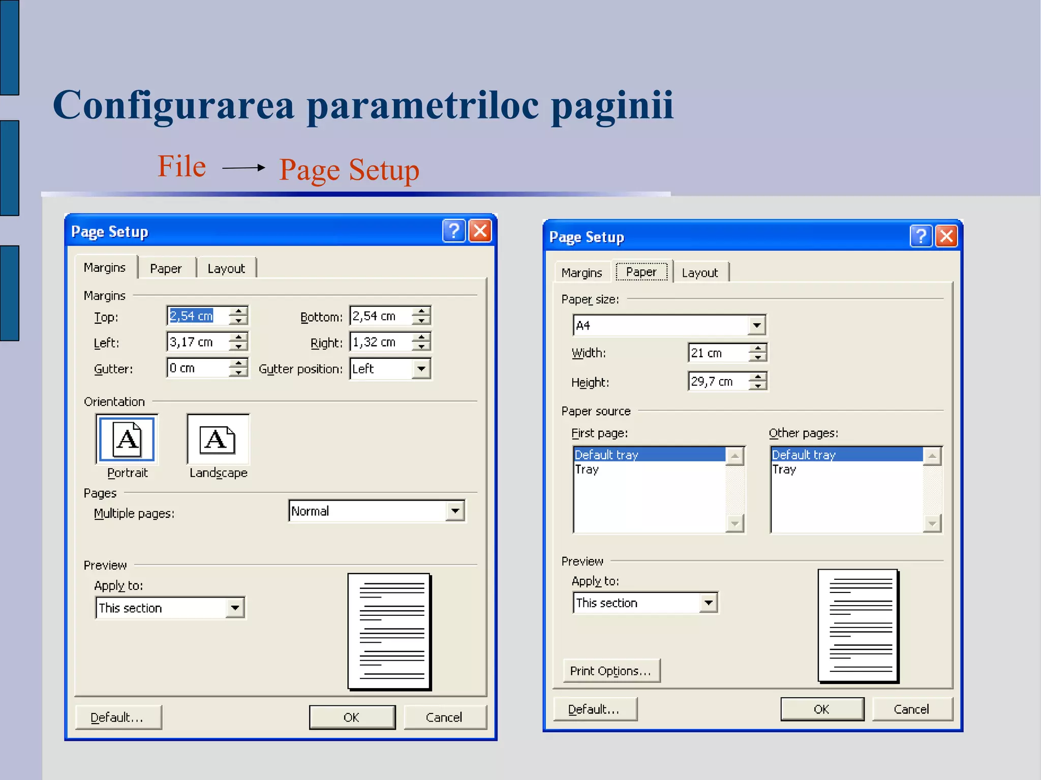 Configurarea parametriloc paginii File Page Setup 