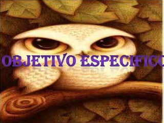 presentación empresa