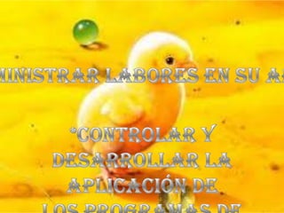 presentación empresa