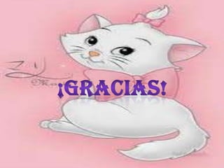 presentación empresa