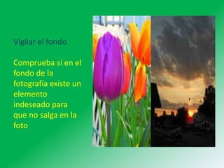 Vigilar el fondo
Comprueba si en el
fondo de la
fotografía existe un
elemento
indeseado para
que no salga en la
foto

 