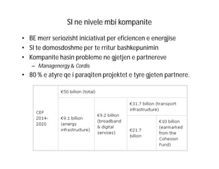 SI ne nivele mbi kompanite
• BE merr seriozisht iniciativat per eficiencen e energjise
• SI te domosdoshme per te rritur bashkepunimin
• Kompanite hasin probleme ne gjetjen e partnereve
– Managenergy & Cordis

• 80 % e atyre qe i paraqiten projektet e tyre gjeten partnere.

 