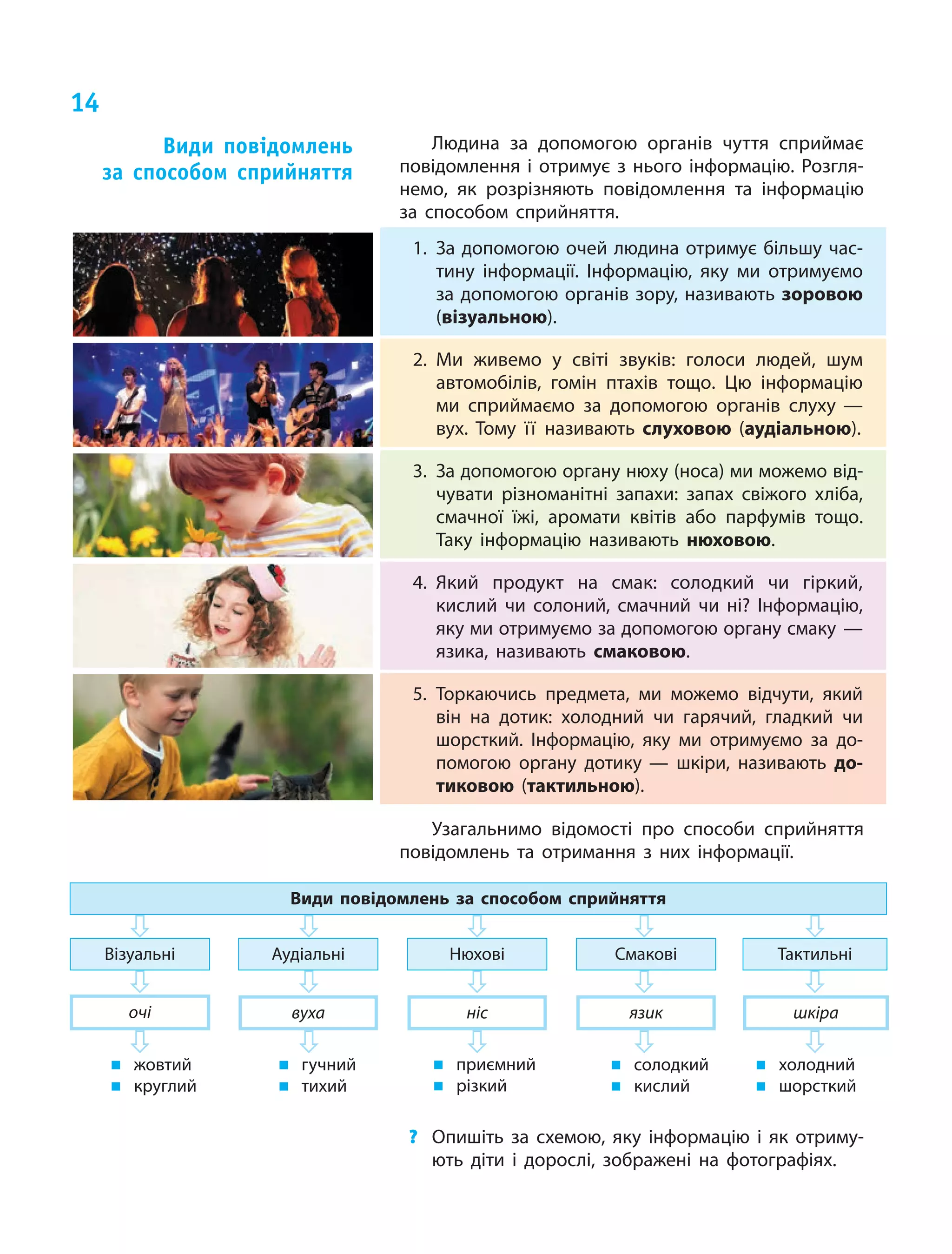 14
Людина за допомогою органів чуття сприймає
повідомлення і отримує з нього інформацію. Розгля‑
немо, як розрізняють повідомлення та інформацію
за  способом сприйняття.
Види повідомлень
за  способом сприйняття
1.	За допомогою очей людина отримує більшу час‑
тину інформації. Інформацію, яку ми  отримуємо
за допомогою органів зору, називають зоровою
(візуальною).
2.	Ми живемо у  світі звуків: голоси людей, шум
автомобілів, гомін птахів тощо. Цю  інформацію
ми  сприймаємо за  допомогою органів слуху —
вух. Тому її називають слуховою (аудіальною).
3.	 За допомогою органу нюху (носа) ми можемо від‑
чувати різноманітні запахи: запах свіжого хліба,
смачної їжі, аромати квітів або парфумів тощо.
Таку інформацію називають нюховою.
4.	Який продукт на  смак: солодкий чи  гіркий,
кислий чи  солоний, смачний чи  ні? Інформацію,
яку ми отримуємо за допомогою органу смаку —
язика, називають смаковою.
5.	Торкаючись предмета, ми  можемо відчути, який
він на  дотик: холодний чи  гарячий, гладкий чи
шорсткий. Інформацію, яку ми  отримуємо за  до‑
помогою органу дотику — шкіри, називають до-
тиковою (тактильною).
Узагальнимо відомості про способи сприйняття
повідомлень та отримання з них інформації.
Види повідомлень за способом сприйняття
Аудіальні
вуха
Нюхові
ніс
Смакові
язик
Тактильні
шкіра
Візуальні
очі
„„ жовтий
„„ круглий
„„ гучний
„„ тихий
„„ приємний
„„ різкий
„„ солодкий
„„ кислий
„„ холодний
„„ шорсткий
?	 Опишіть за схемою, яку інформацію і як отриму‑
ють діти і дорослі, зображені на фотографіях.
 