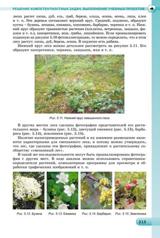 212152152152152152152152152152152152152152152152152152152152152152152152152152152152152152152152152152155
РЕШЕНИЕ КОМПЕТЕНТНОСТНЫХ ЗАДАЧ, ВЫПОЛНЕНИЕ УЧЕБНЫХ ПРОЕКТОВ
ëåñàõ ðàñòåò ñîñíà, äóá, åëü, ãðàá, áåðåçà, îëüõà, îñèíà, ÿñåíü, ëèïà, êëåí
è ò. ï. Ýòè äåðåâüÿ ñîñòàâëÿþò âåðõíèé ÿðóñ. Ñðåäíèé, ïîäëåñîê, îáðàçóþò
êóñòû – áóçèíà, ëåùèíà, åæåâèêà, øèïîâíèê, áàðáàðèñ, ÷åðíèêà è ò. ï. Íèæ-
íèé ÿðóñ îáðàçóþò òðàâÿíèñòûå ðàñòåíèÿ (õîõëàòêà, âåòðåíèöà, ëàíäûø, ôè-
àëêè è ò. ï.), ïàïîðîòíèêè, ìõè, ãðèáû, ëèøàéíèêè. Åñëè ïðîàíàëèçèðîâàòü
ïîäàííóþ íà ðèñóíêå 5.10 ôîòîèëëþñòðàöèþ, òî ìîæíî îïðåäåëèòü, ÷òî â ýòîì
ëåñó ðàñòóò: ñîñíà, äóá, áåðåçà, îñèíà. Â ïîäëåñêå åñòü ðÿáèíà.
Íèæíèé ÿðóñ ëåñà ìîæíî äåòàëüíåå ðàññìîòðåòü íà ðèñóíêå 5.11. Åãî
îáðàçóþò ïàïîðîòíèêè, ÷åðíèêà, ëàíäûøè, ìõè è ò. ï.
Рис. 5.11. Нижний ярус смешанного леса
Â äðóãèõ ìåñòàõ ëåñà ñäåëàíû ôîòîãðàôèè ïðåäñòàâèòåëåé åãî ðàñòè-
òåëüíîãî ìèðà – áóçèíû (ðèñ. 5.12), öâåòóùåé åæåâèêè (ðèñ. 5.13), áàðáà-
ðèñà (ðèñ. 5.14), çåìëÿíèêè (ðèñ. 5.15).
Íàëè÷èå âûøåïðèâåäåííûõ ðàñòåíèé è èõ âçàèìíîå ðàçìåùåíèå ÿâëÿ-
þòñÿ õàðàêòåðíûìè äëÿ ñìåøàííîãî ëåñà, è ïîòîìó ìîæíî óòâåðæäàòü,
÷òî ëåñ, ãäå ñäåëàíû ýòè ôîòîãðàôèè, ïðèíàäëåæèò ê ðàñòèòåëüíîìó ñî-
îáùåñòâó «ñìåøàííûé ëåñ».
Â òàêîé æå ïîñëåäîâàòåëüíîñòè ìîãóò áûòü ïðîàíàëèçèðîâàíû ôîòîãðà-
ôèè ñ äðóãèõ ìåñò. Â õîäå àíàëèçà ìîæíî èñïîëüçîâàòü ñïðàâî÷íèêè-
îïðåäåëèòåëè ðàñòåíèé, êîìïüþòåðíûå ïðîãðàììû äëÿ ïðîñìîòðà è îá-
ðàáîòêè ãðàôè÷åñêèõ èçîáðàæåíèé è ò. ï.
Рис. 5.12. Бузина Рис. 5.13. Ежевика Рис. 5.14. Барбарис Рис. 5.15. Земляника
 