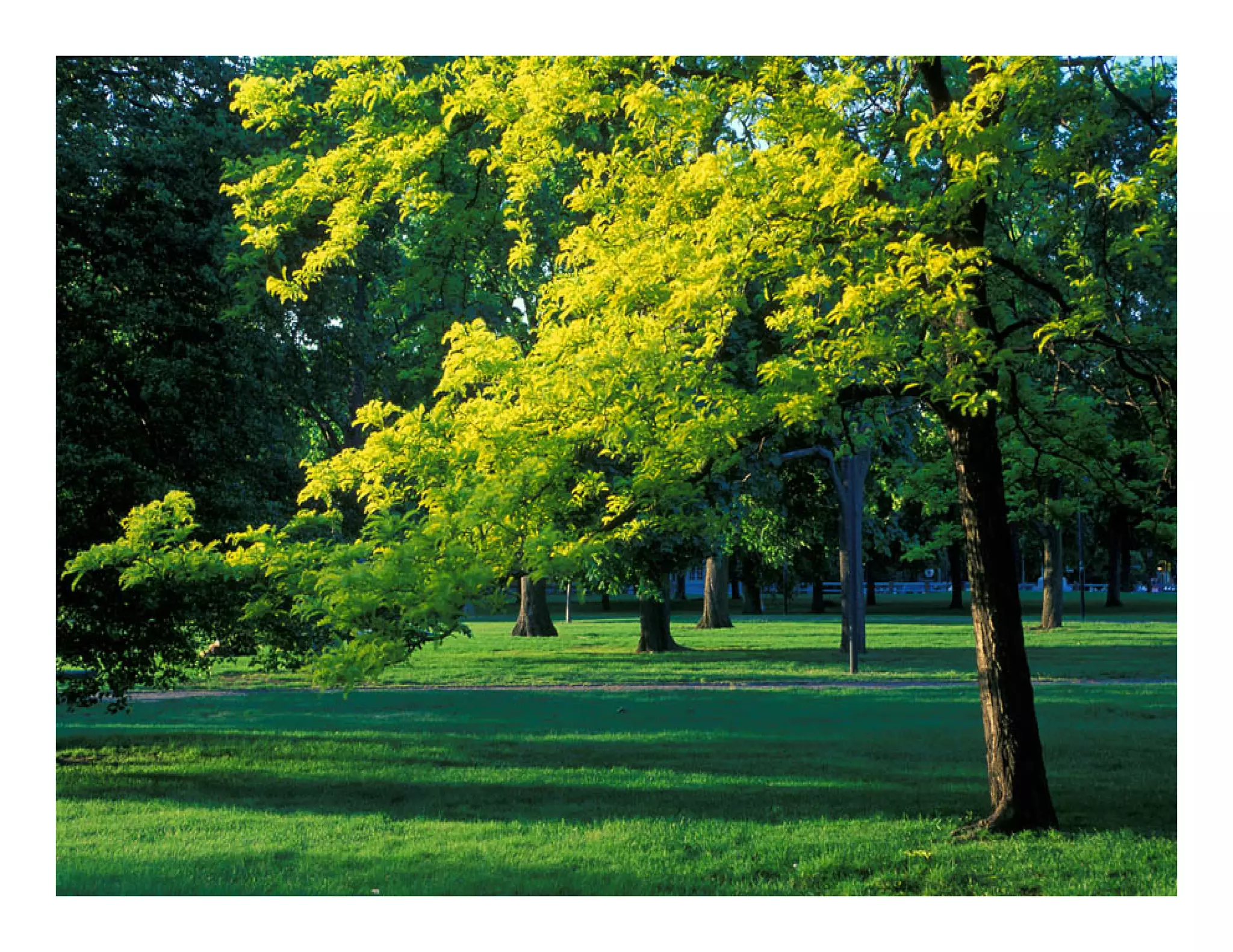 Information Architecture 3.0 (Second Life)