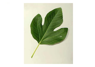 Information Explosion - Erik Moller