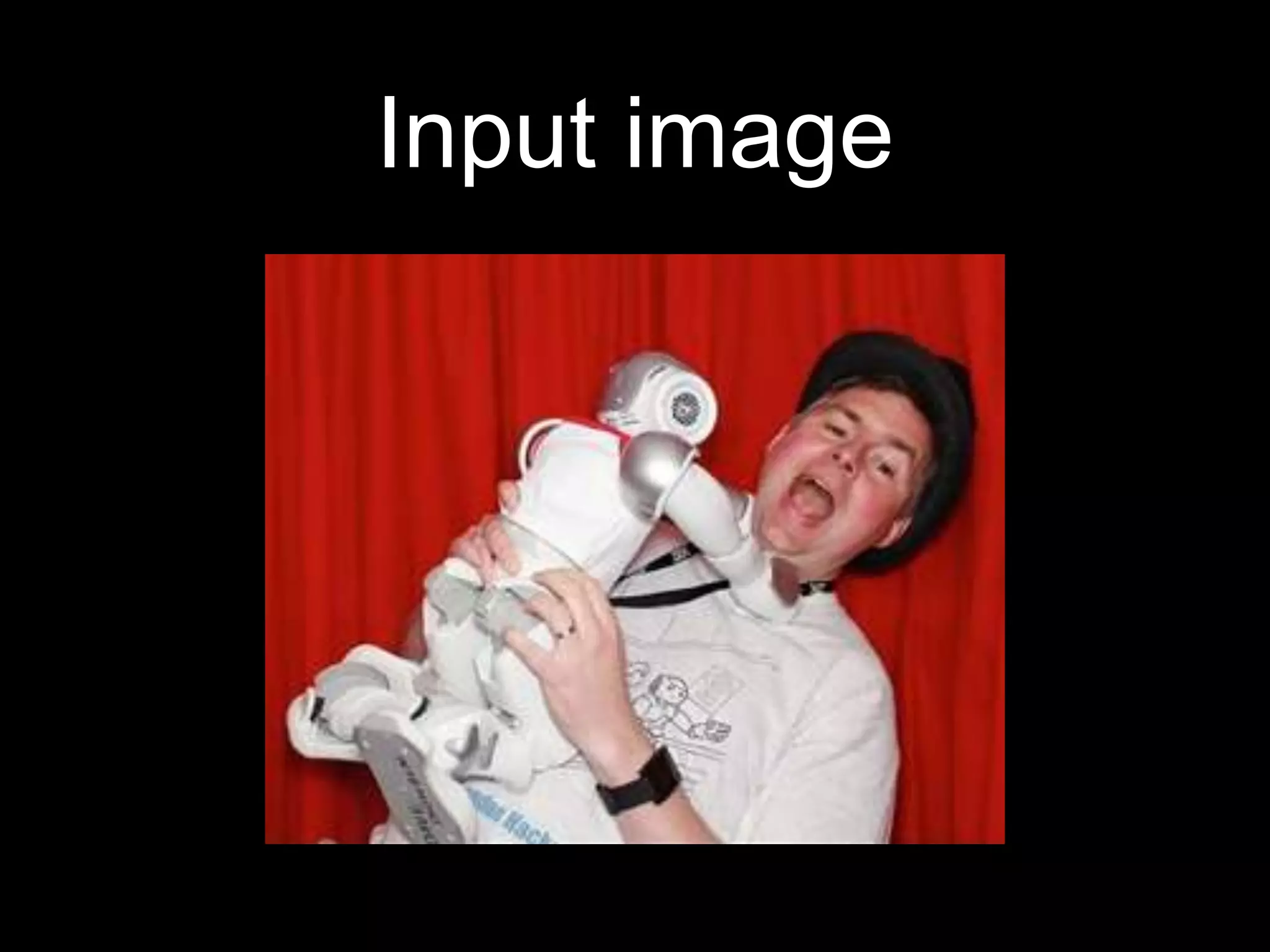 Input image
 