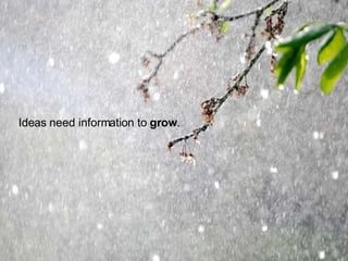 Ideas need information to  grow . 