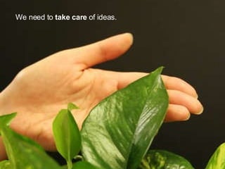 We need to  take care  of ideas. 