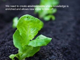 We need to create  environments  where knowledge is enriched and allows new ideas to take off. 