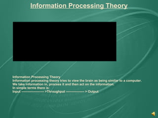 Information Processing Theory Information Processing Theory Information processing theory tries to view the brain as being similar to a computer. We take information in, process it and then act on the information. In simple terms there is: Input --------------------- >Throughput ----------------- > Output 