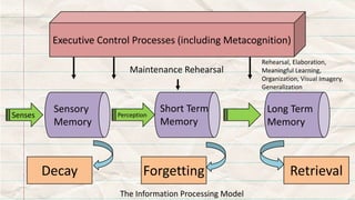 Executive Control Processes (including Metacognition)
Senses Perception
Decay Forgetting Retrieval
Maintenance Rehearsal
Rehearsal, Elaboration,
Meaningful Learning,
Organization, Visual Imagery,
Generalization
Sensory
Memory
Short Term
Memory
Long Term
Memory
The Information Processing Model
 
