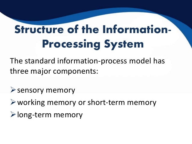 Information processing theories