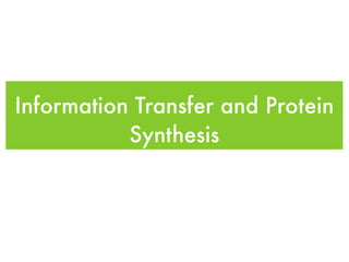 Information Transfer and Protein
           Synthesis