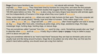 Information about dogs | PPT