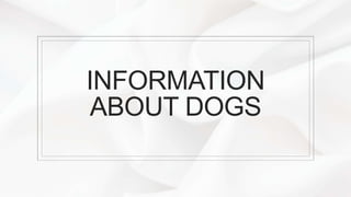 INFORMATION
ABOUT DOGS
 