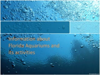 Information about Florida Aquariums and its activities 