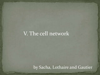 V. The cell network
by Sacha, Lothaire and Gautier
 