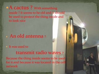 A cactus ? With something
inside ? It seems to be old and it should
be used to protect the thing inside and
to look nice
 An old antenna ?
 It was used to
transmit radio waves ?
Because the thing inside seems to be used
for it and because it was located in the cell
network
 