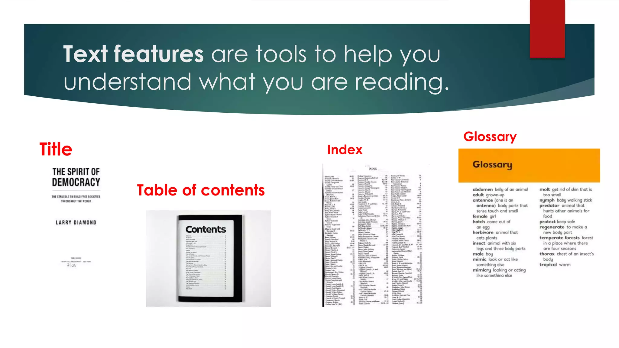 Text features are tools to help you 
understand what you are reading. 
Title 
Table of contents 
Index 
Glossary 
 