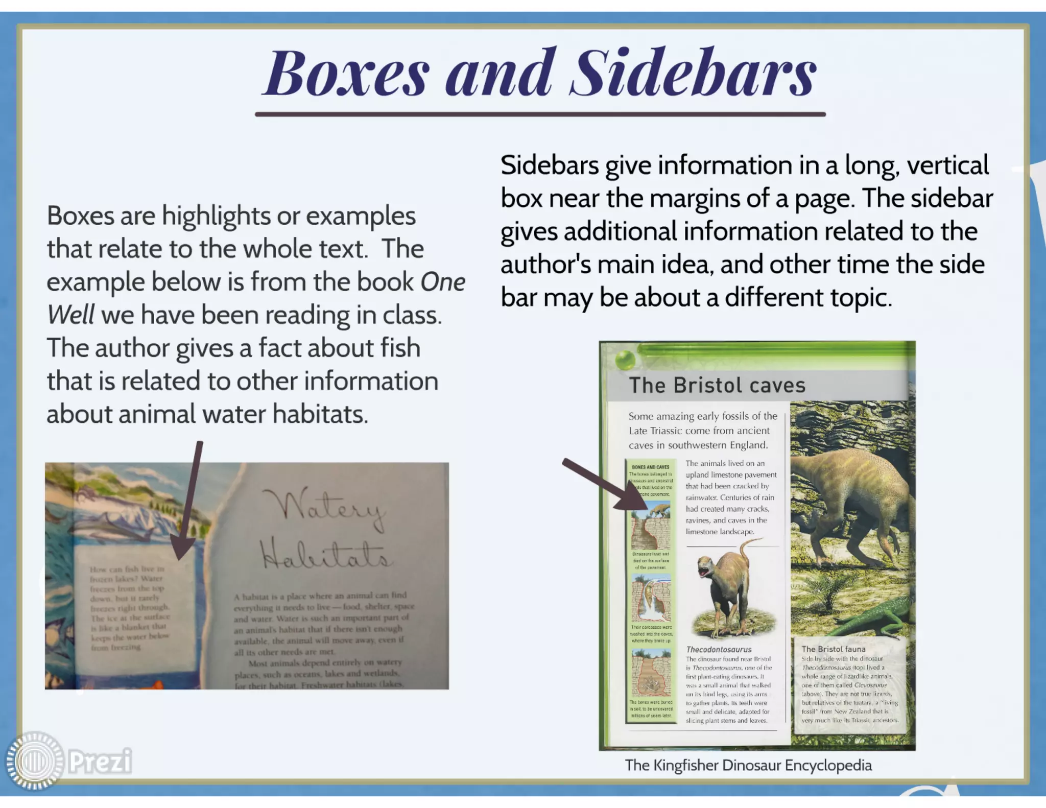 Informational text features