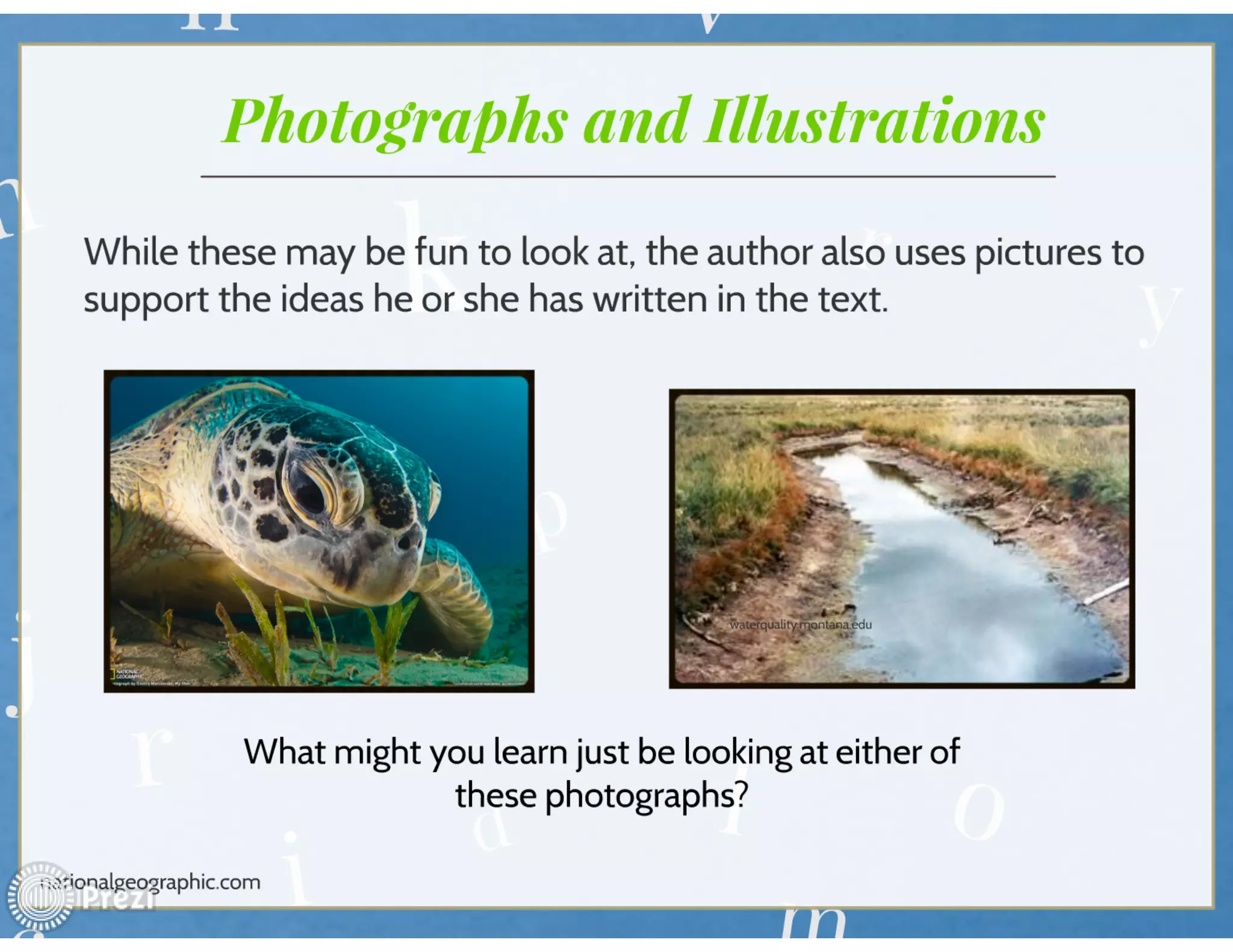 Informational text features