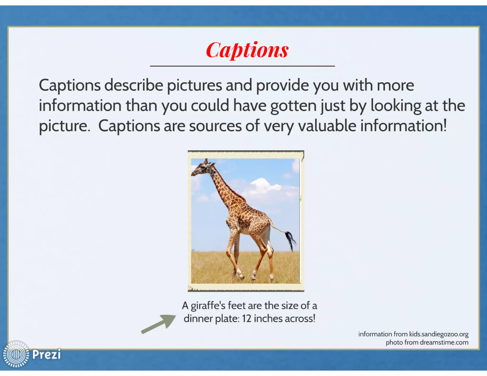 Informational text features