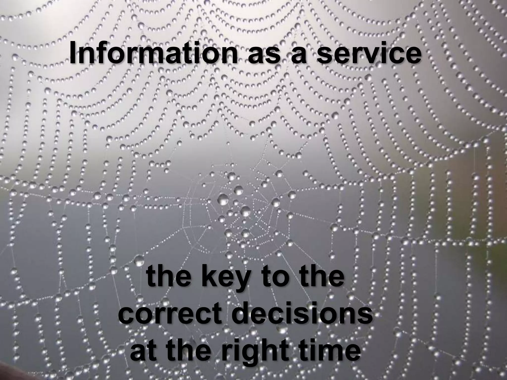 Information As A Service – The Key To The Correct Decisions At The Right Time