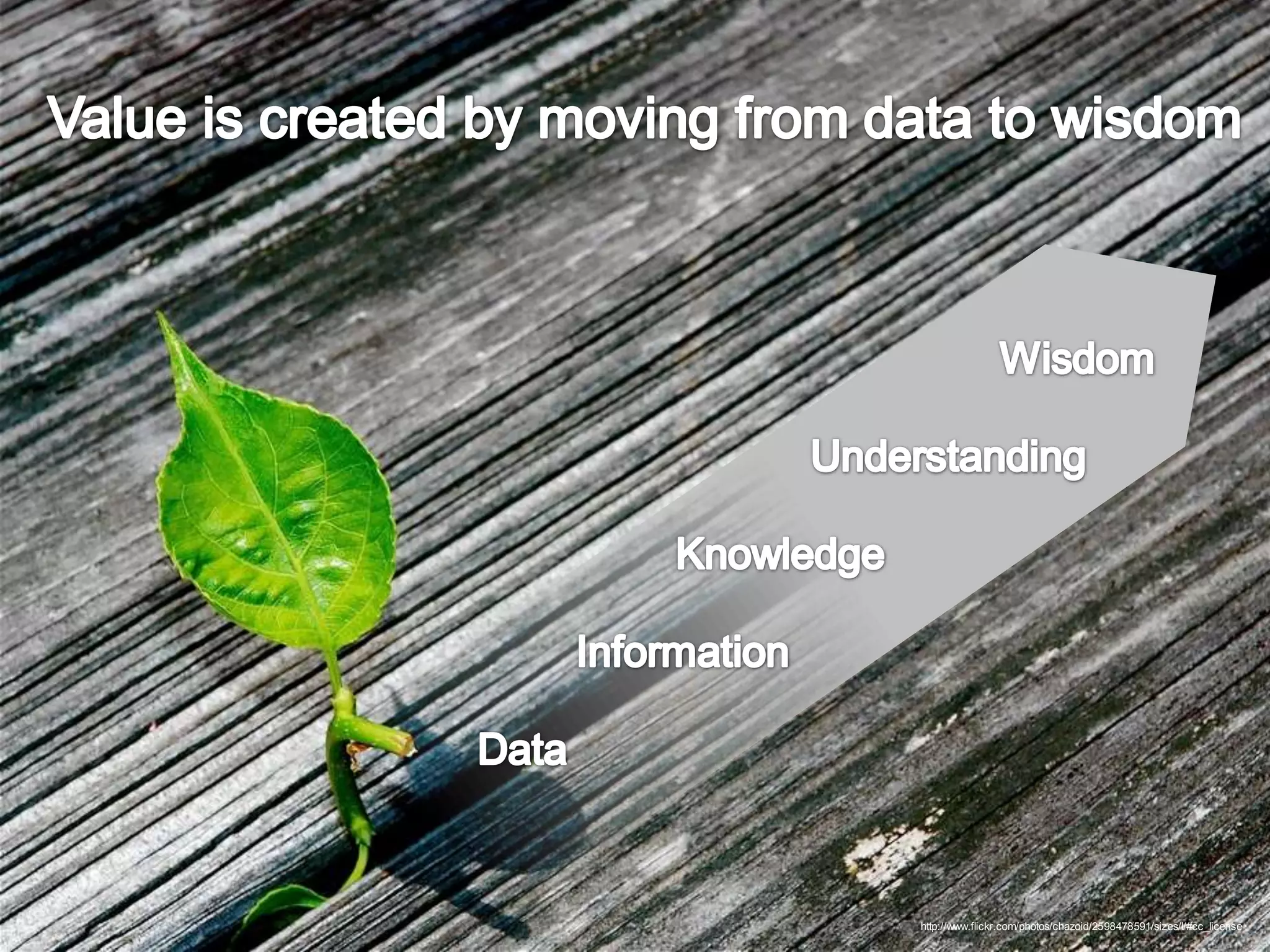 Information As A Service – The Key To The Correct Decisions At The Right Time