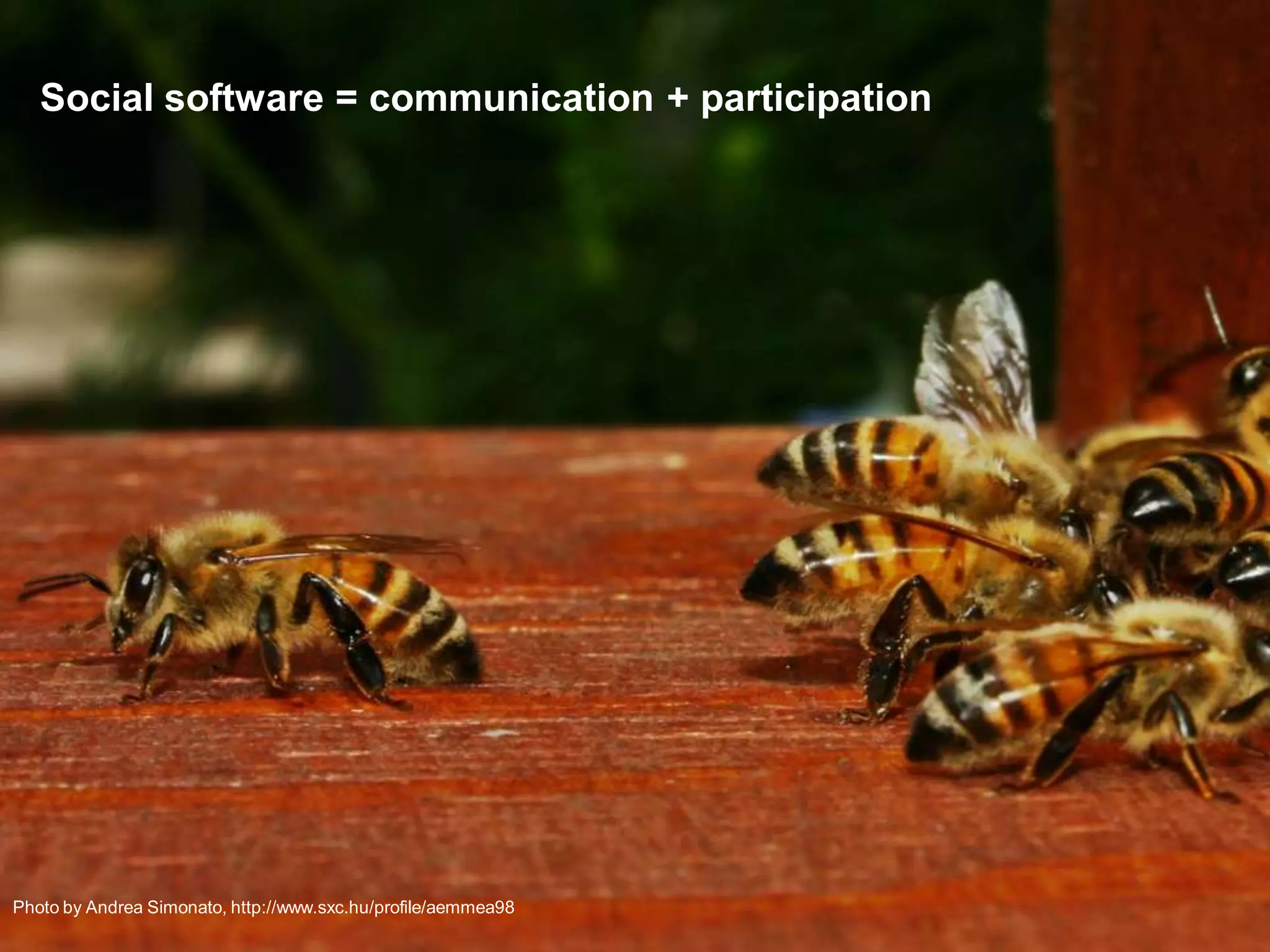 Information As A Service – The Key To The Correct Decisions At The Right Time