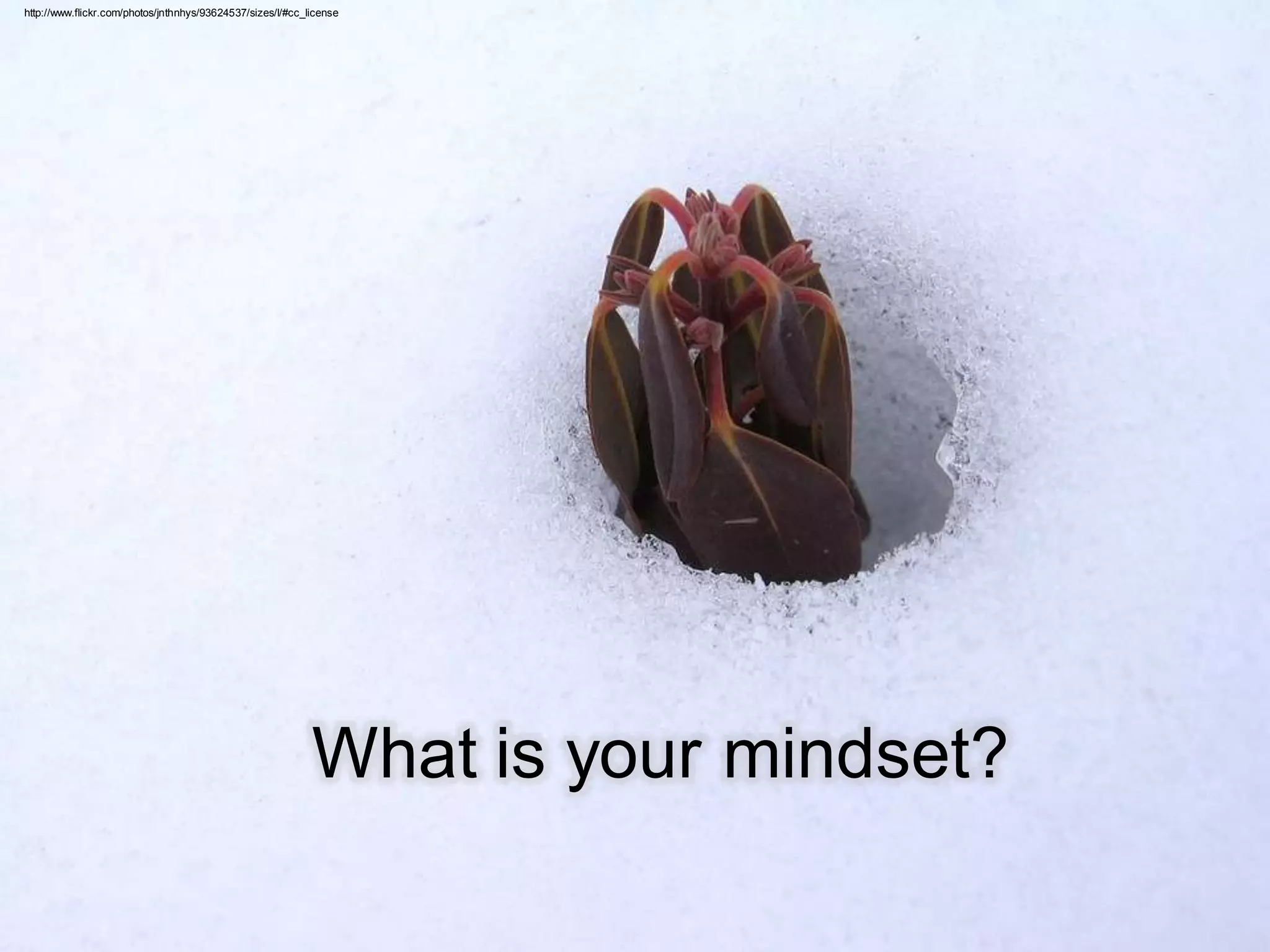 Information As A Service – The Key To The Correct Decisions At The Right Time